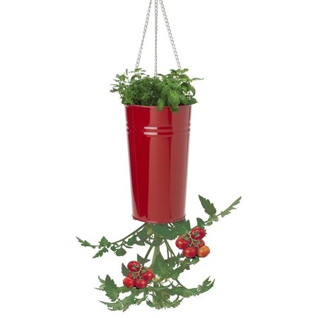 NEXT2NATURE Enameled Galvanized Upsidedown Tomato, Pepper Hanging Planter - Red NE2588663